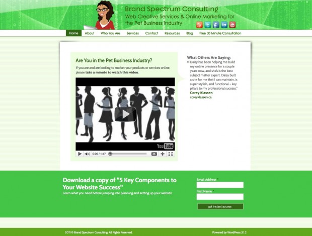 Website Redesign