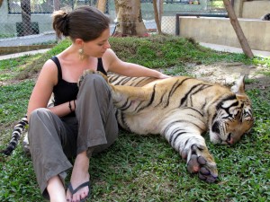 Tiger-and-me-in-Chiang-Mai-300x225 Jodi's own photo of her and a Tiger in Chiang Mai, Thailand