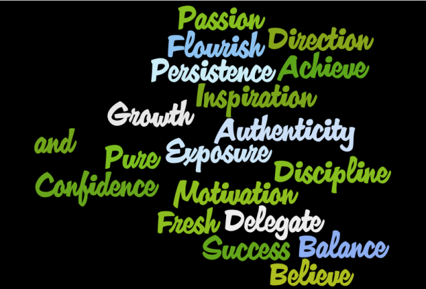 The Suitcase Entrepreneur Word Cloud for 2012