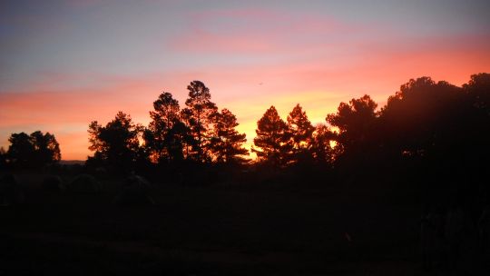 Sunrises are worth savouring