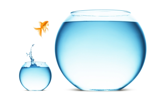 Why Creating Change Can Feel So Hard (and what to do about it)