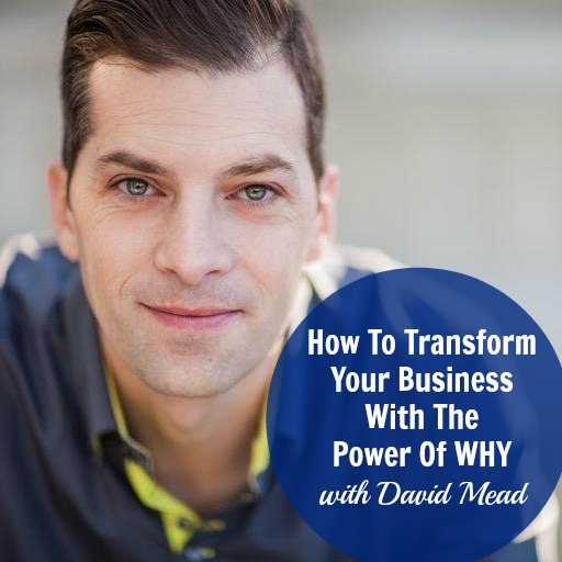 [240] How To Transform Your Business With The Power Of WHY with David Mead